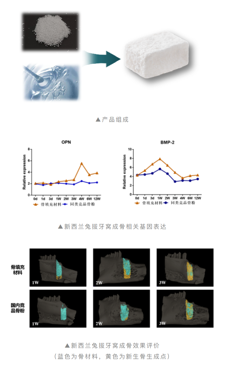 重磅上市！傲塑口腔颌骨骨再生产品 | 国内首款复合透明质酸天然骨填充材料